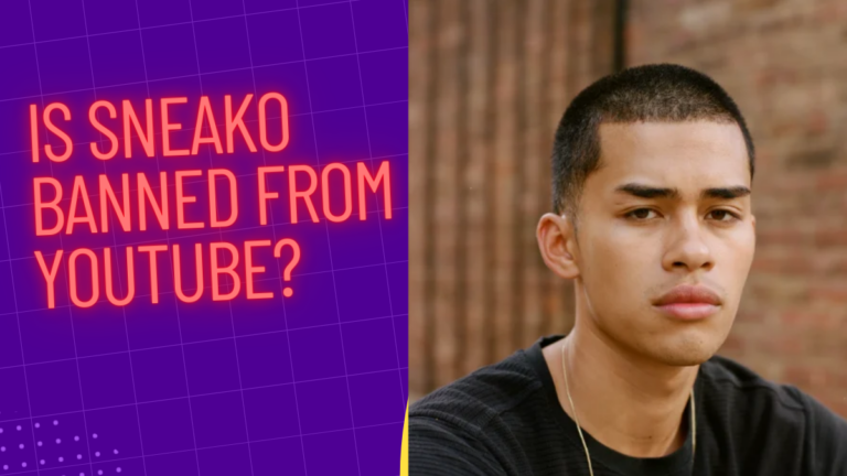Is Sneako Banned From Youtube?