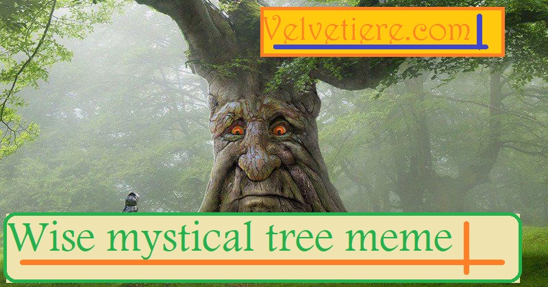 wise mystical tree meme