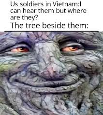 My Reaction to wise mystical tree meme