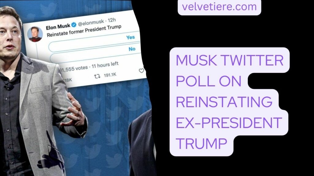 Musk Twitter Poll on Reinstating Ex-President Trump
