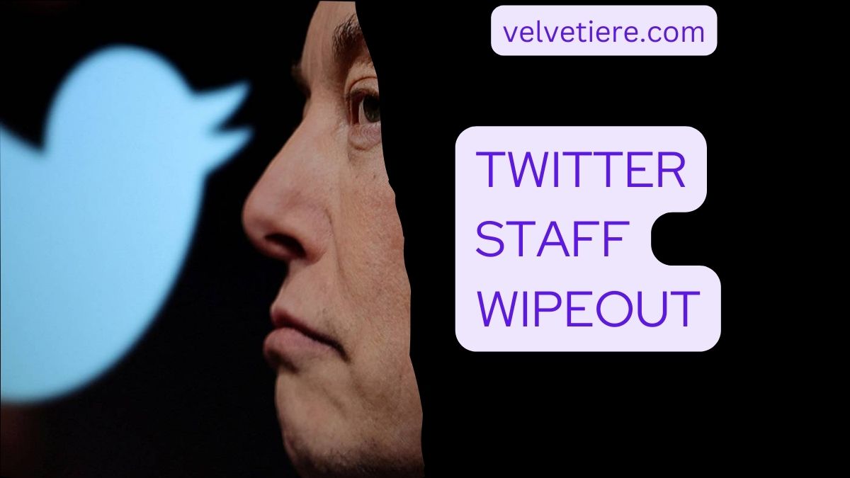 Twitter Staff Wipeout