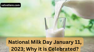 National-Milk-Day-–-January-11-2023-Why-it-is-Celebrated