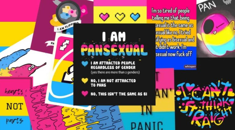 What Is pansexuality